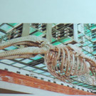 DSCN4411_JPG-1374050048