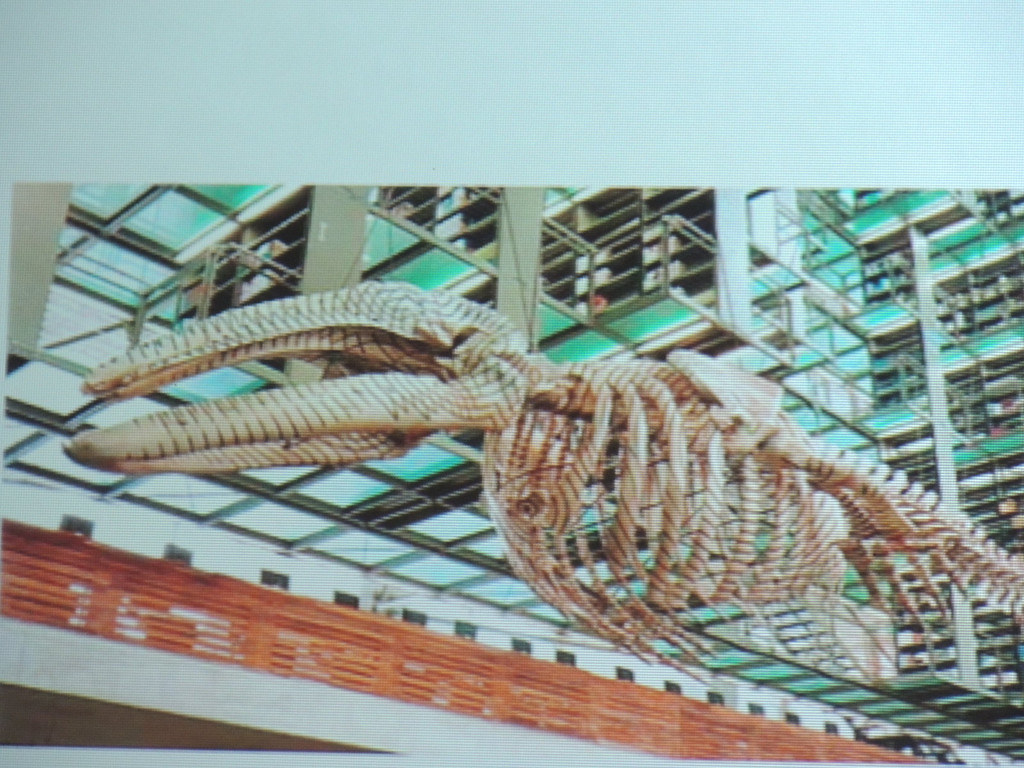 DSCN4411_JPG-1374050048