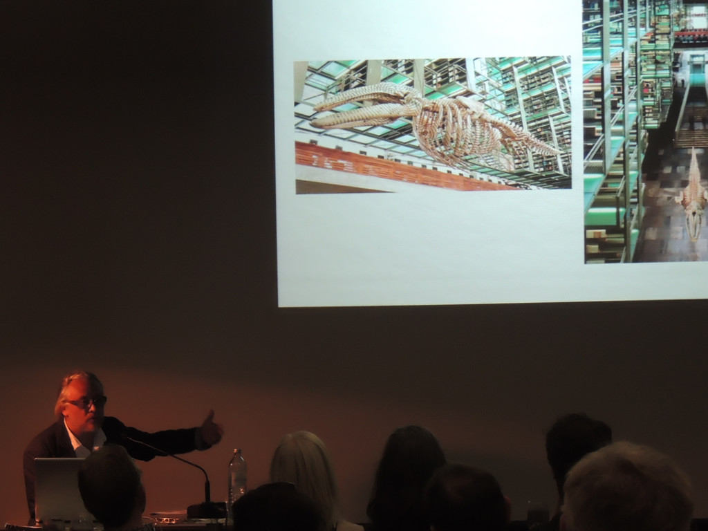 DSCN4413_JPG-1374050053