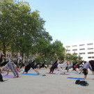 DSCN1950_JPG-1374050814