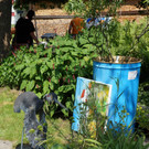 DSC00845_JPG-1374051902