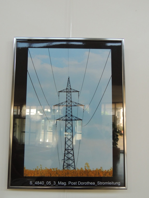 DSCN5658_JPG-1374052545