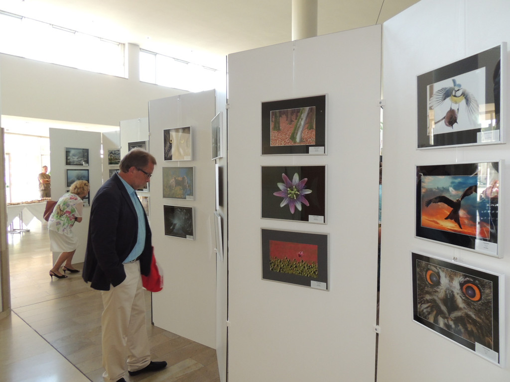 DSCN5653_JPG-1374052537