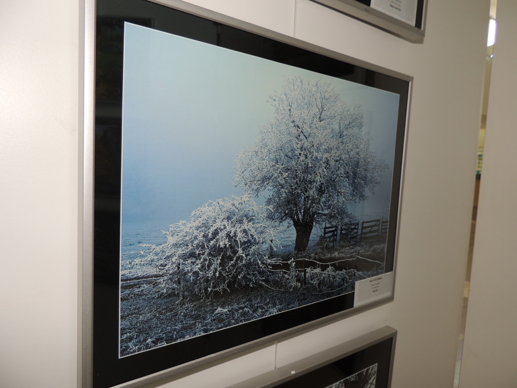 DSCN5657_JPG-1374052541