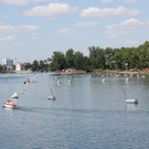 IMG_8907.JPG