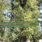 IMG_8910.JPG