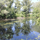IMG_8948.JPG