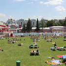 IMG_8886.JPG