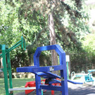 IMG_8896.JPG