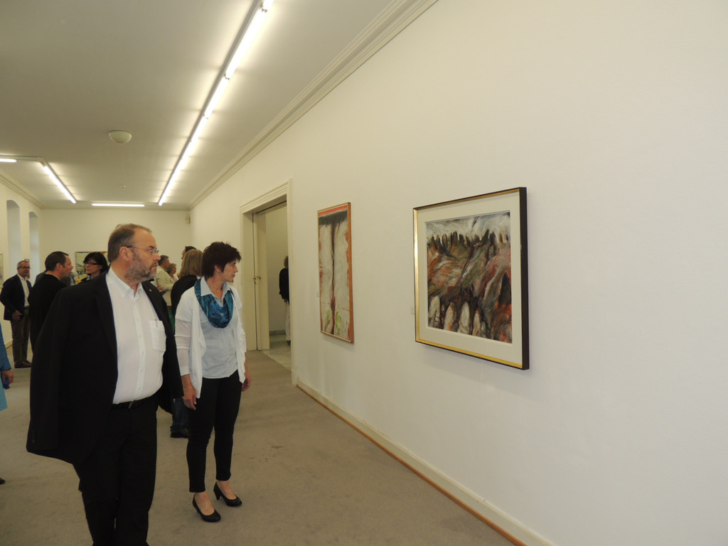 DSCN1630_JPG-1374097207