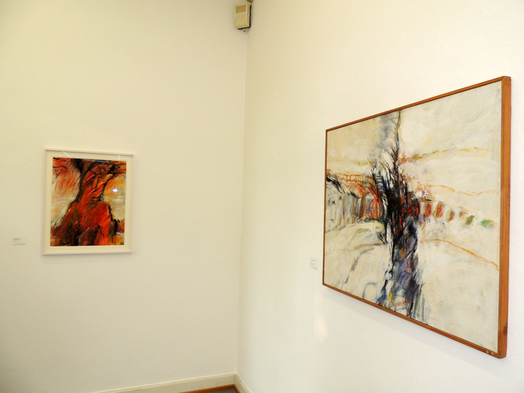 DSCN1641_JPG-1374097223