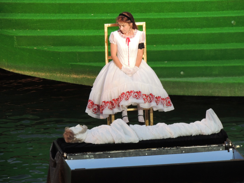 DSCN2985_JPG-1374100509