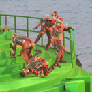 DSCN3056_JPG-1374100557