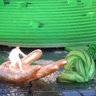 DSCN3108_JPG-1374100591