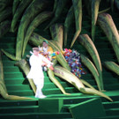 DSCN3274_JPG-1374100679