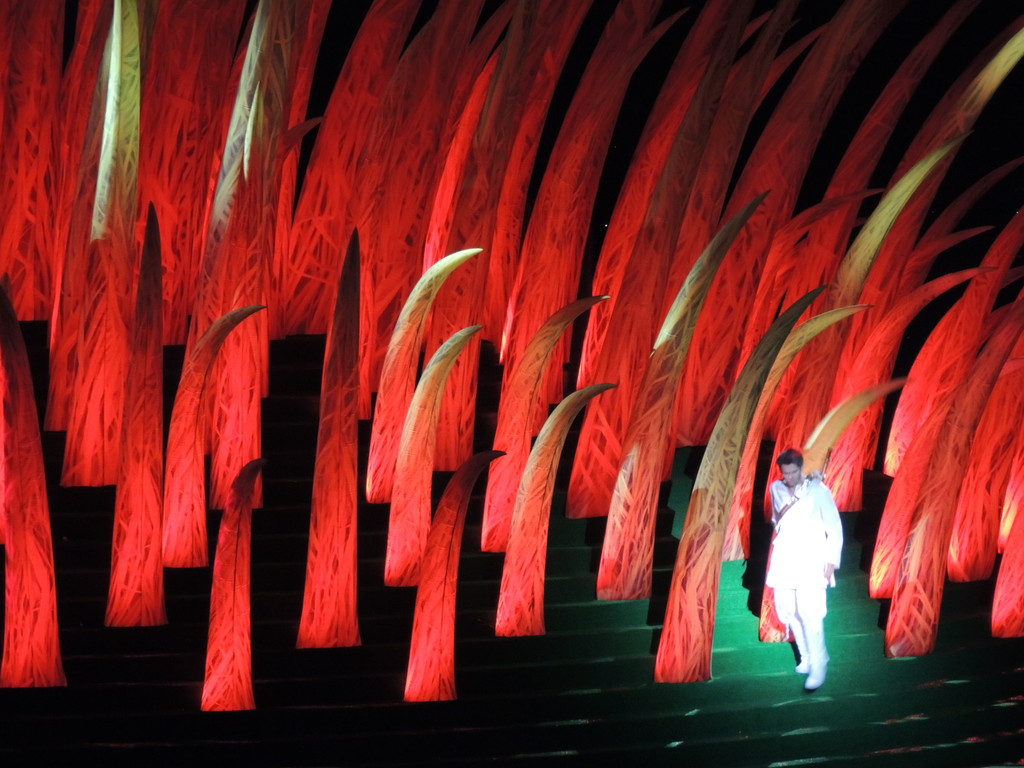 DSCN3488_JPG-1374100730