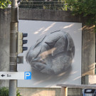 DSCN1935_JPG-1374160166