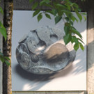 DSCN2036_JPG-1374160181