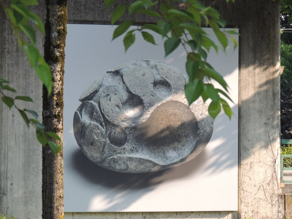 DSCN2036_JPG-1374160181