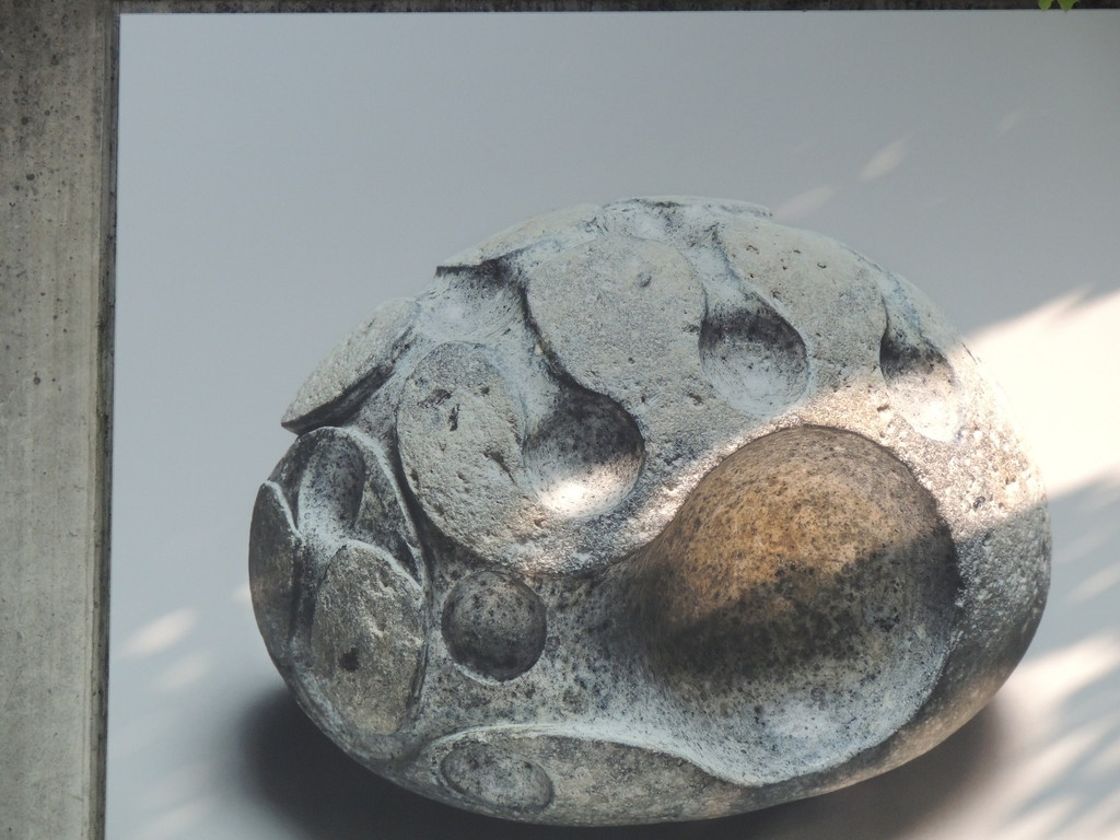 DSCN2039_JPG-1374160189