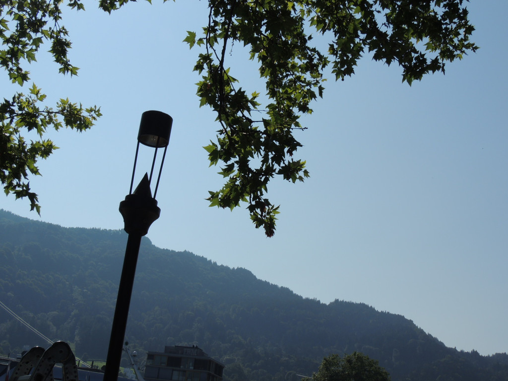 DSCN5098_JPG-1374160809