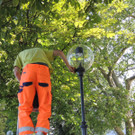 DSCN5137_JPG-1374160828