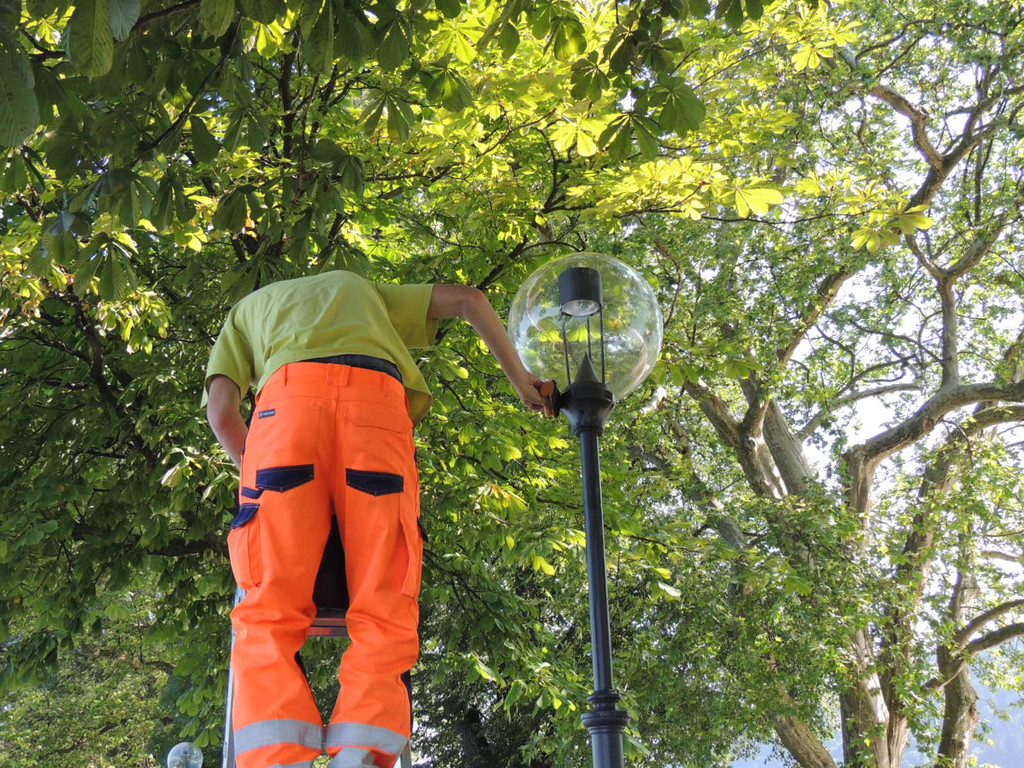 DSCN5137_JPG-1374160828