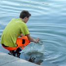 DSCN5155_JPG-1374160831