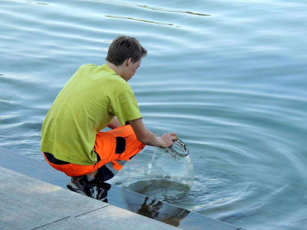 DSCN5155_JPG-1374160831