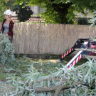 DSCN6362_JPG-1374161374