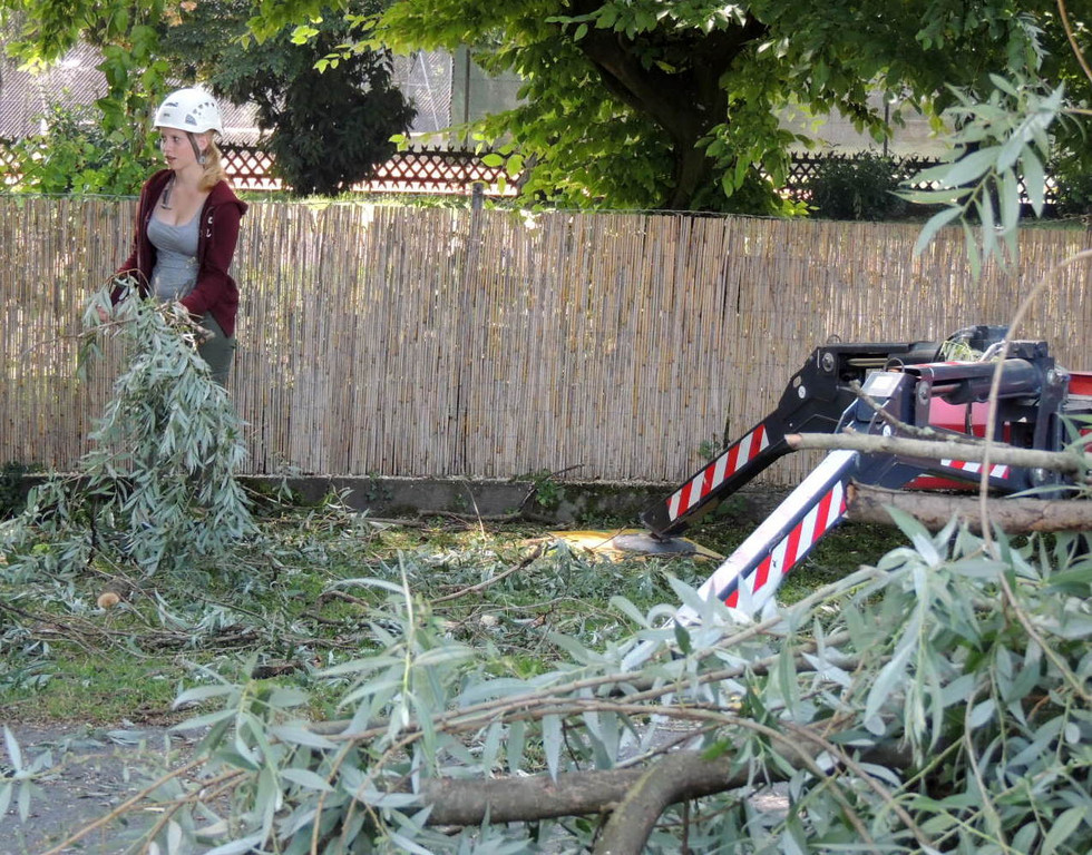 DSCN6362_JPG-1374161374