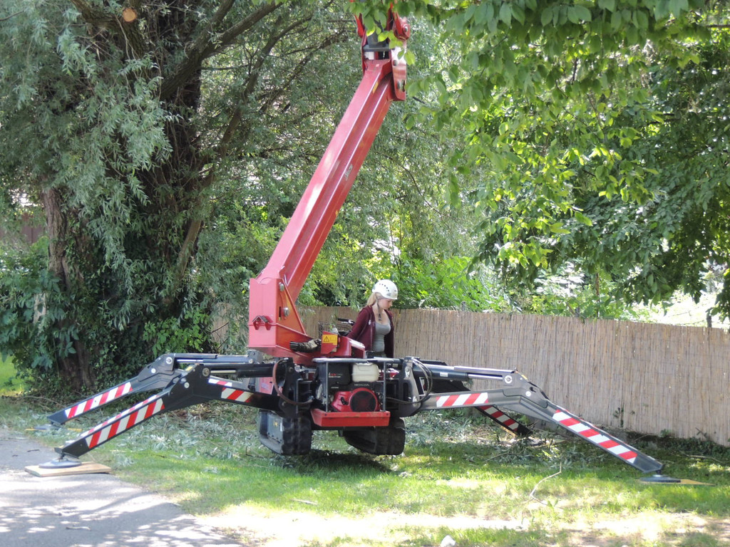 DSCN6352_JPG-1374161357