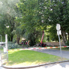 DSCN6349_JPG-1374161350