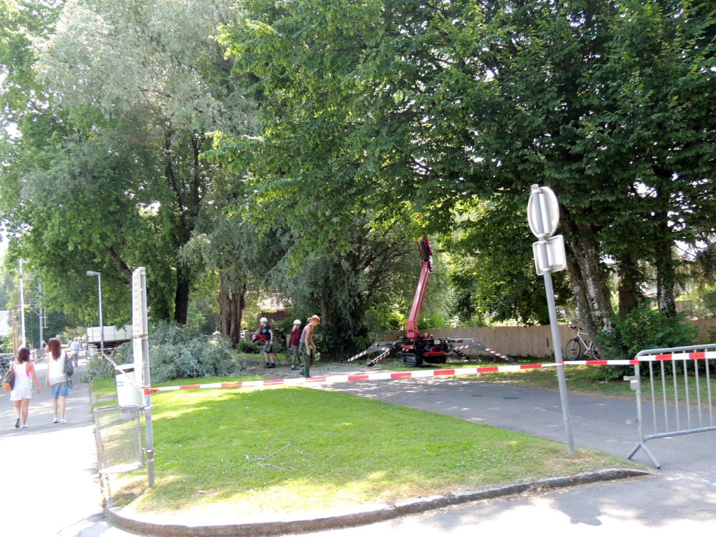 DSCN6349_JPG-1374161350