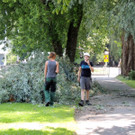 DSCN6351_JPG-1374161353