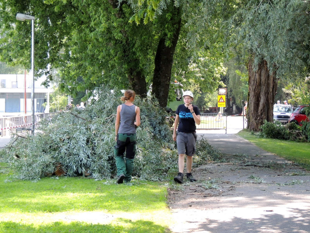 DSCN6351_JPG-1374161353