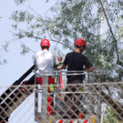 DSCN6368_JPG-1374161390