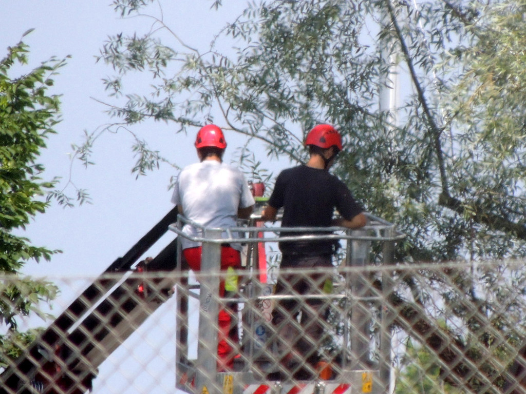 DSCN6368_JPG-1374161390