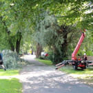 DSCN6353_JPG-1374161361