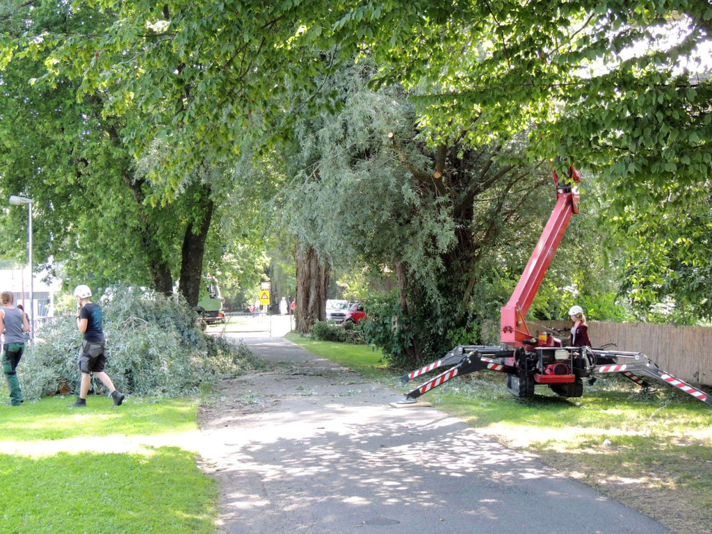 DSCN6353_JPG-1374161361