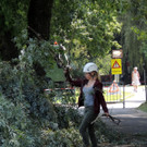 DSCN6354_JPG-1374161365