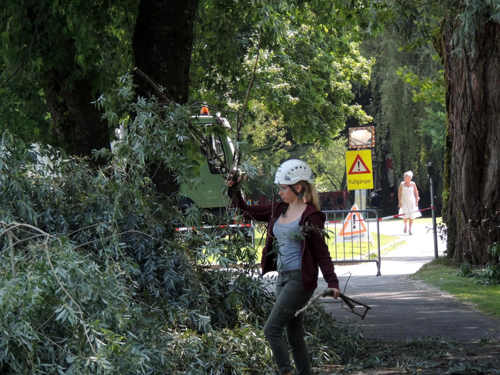 DSCN6354_JPG-1374161365