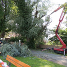 DSCN6356_JPG-1374161368