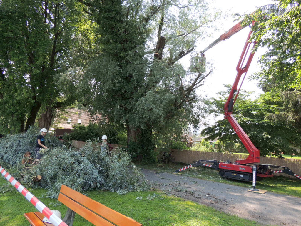 DSCN6356_JPG-1374161368