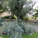 DSCN6359_JPG-1374161371