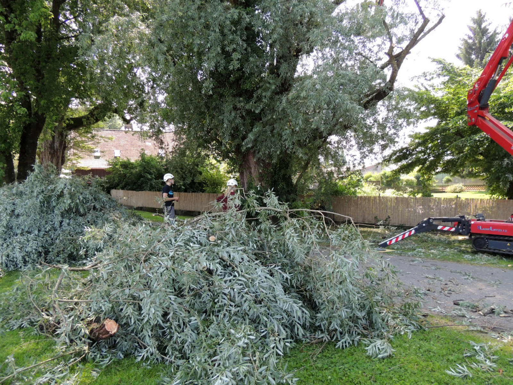 DSCN6359_JPG-1374161371