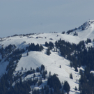 DSC07070.JPG