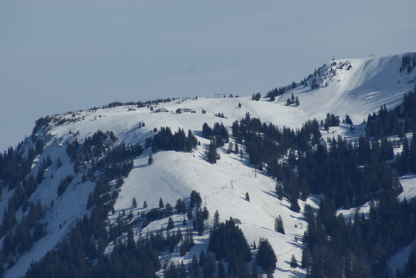 DSC07070.JPG