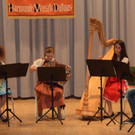 2013_06_15 Tanzlmusik MMS Th__ringen1_jpg-1374177845