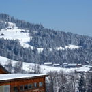 DSC07578.JPG